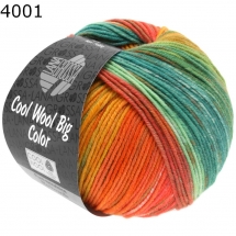 Cool Wool Big Color Lana Grossa Farbe 4001