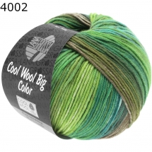 Cool Wool Big Color Lana Grossa Farbe 4002