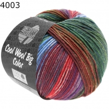 Cool Wool Big Color Lana Grossa Farbe 4003