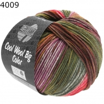 Cool Wool Big Color Lana Grossa Farbe 4009