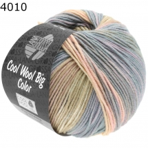 Cool Wool Big Color Lana Grossa Farbe 4010