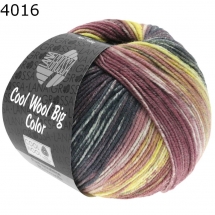 Cool Wool Big Color Lana Grossa Farbe 4016