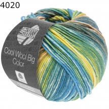 Cool Wool Big Color Lana Grossa Farbe 4020