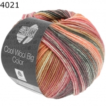 Cool Wool Big Color Lana Grossa Farbe 4021