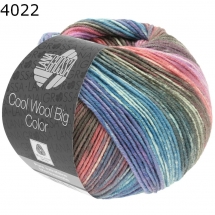 Cool Wool Big Color Lana Grossa Farbe 4022