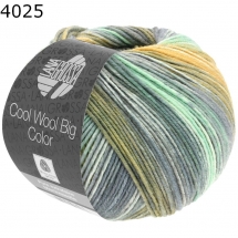 Cool Wool Big Color Lana Grossa Farbe 4025