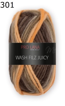 Juicy Wash-Filz Pro Lana Farbe 301