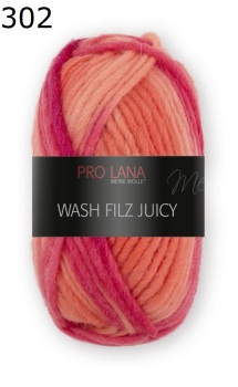 Juicy Wash-Filz Pro Lana Farbe 302