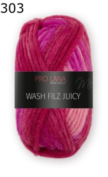 Juicy Wash-Filz Pro Lana Farbe 303