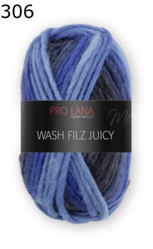 Juicy Wash-Filz Pro Lana Farbe 306