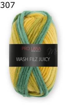Juicy Wash-Filz Pro Lana Farbe 307