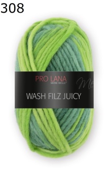 Juicy Wash-Filz Pro Lana Farbe 308