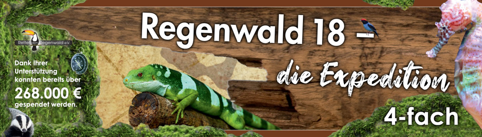  Opal Regenwald 18 ✰ Sockenwolle online bestellen 
