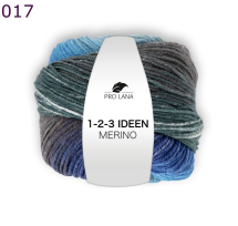 1-2-3- Ideen Merino Pro Lana Farbe 17