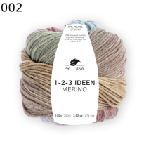 1-2-3- Ideen Merino Pro Lana Farbe 2