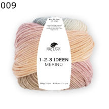 1-2-3- Ideen Merino Pro Lana Farbe 9