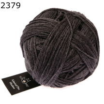 Admiral Pro Shadow Schoppel Wolle Farbe 379