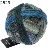 Alb Zauber Crazy Schoppel Wolle Farbe 529