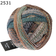 Alb Zauber Crazy Schoppel Wolle Farbe 531