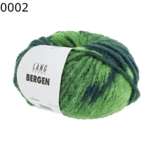 Bergen Lang Yarns Farbe 2