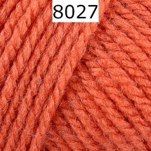 Bravo Schachenmayr Farbe 8027