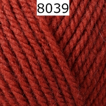 Bravo Schachenmayr Farbe 8039