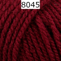 Bravo Schachenmayr Farbe 8045