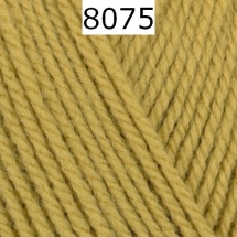 Bravo Schachenmayr Farbe 8075