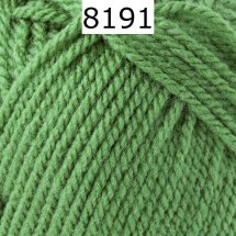 Bravo Schachenmayr Farbe 8191