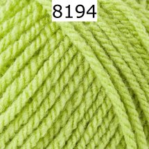 Bravo Schachenmayr Farbe 8194