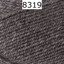 Bravo Schachenmayr Farbe 8319