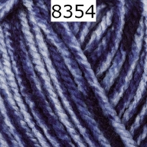 Bravo Schachenmayr Farbe 8354