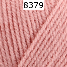 Bravo Schachenmayr Farbe 8379