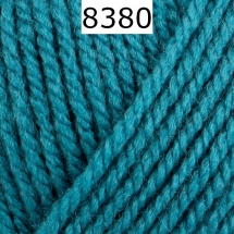 Bravo Schachenmayr Farbe 8380