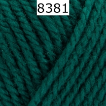 Bravo Schachenmayr Farbe 8381