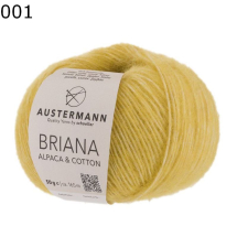 Briana Austermann Farbe 1