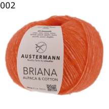 Briana Austermann Farbe 2