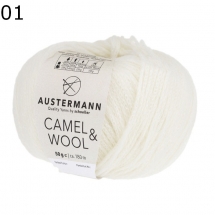 Camel Wool Austermann Farbe 1