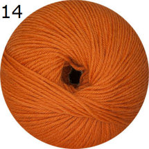Cammino Linie 14 ONline-Garne Farbe 14