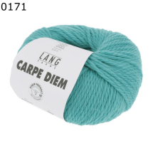 Carpe Diem Lang Yarns Farbe 171