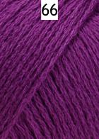 Cashmere Cotton Lang Yarns Farbe 66