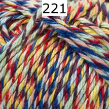 Catania Color Schachenmayr Farbe 221