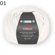 Pro Lana Chello Farbe 1