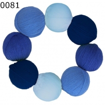 Color Loop Schachenmayr Farbe 81