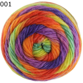 Colorato Lana Grossa Farbe 1