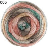 Colorato Lana Grossa Farbe 5