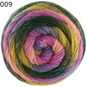 Colorato Lana Grossa Farbe 9