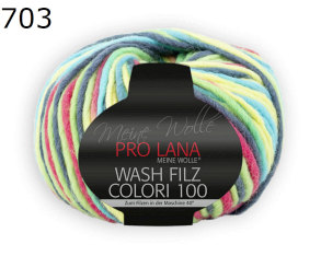 Colori 100 Wash Filz Pro Lana Farbe 703