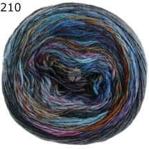 Colorissimo Lana Grossa Farbe 210