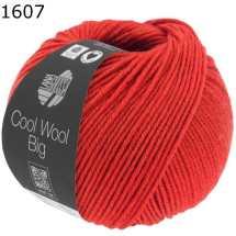 Cool Wool Big melange Lana Grossa Farbe 607